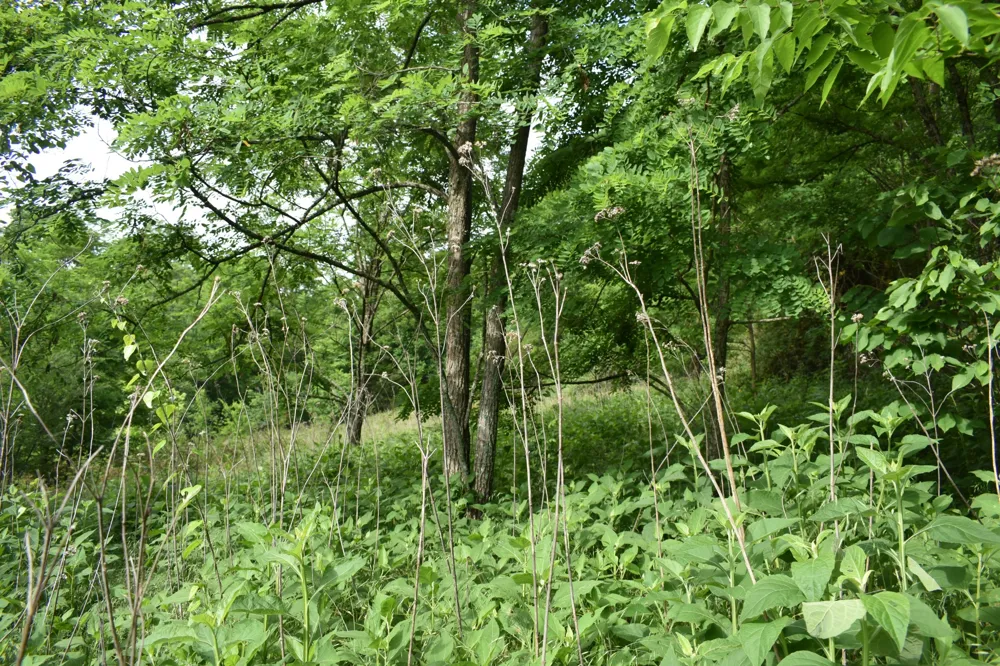 0 Brooks Bend Lane Gainesboro, TN 38562
