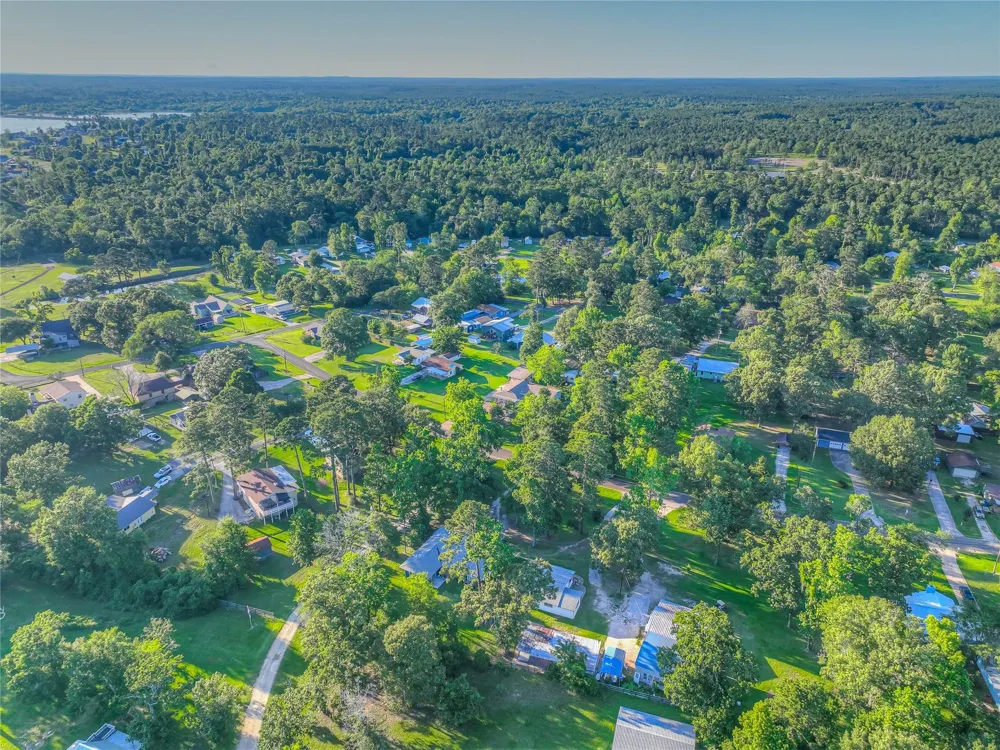 323 Lakeview Drive Onalaska, TX 77360