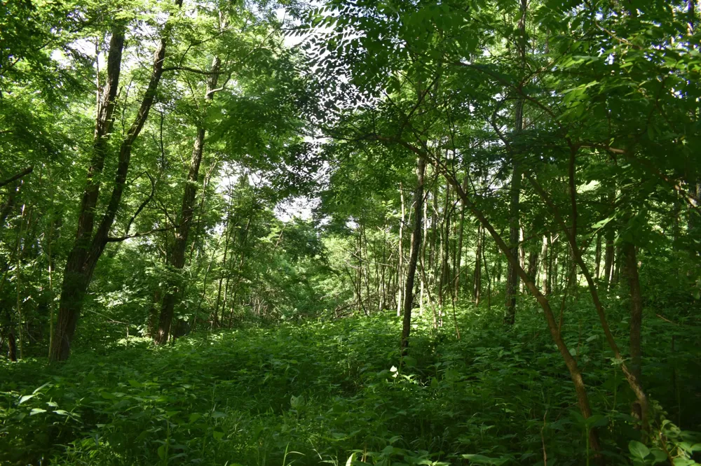 0 Brooks Bend Lane Gainesboro, TN 38562