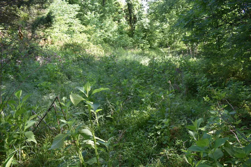 0 Brooks Bend Lane Gainesboro, TN 38562