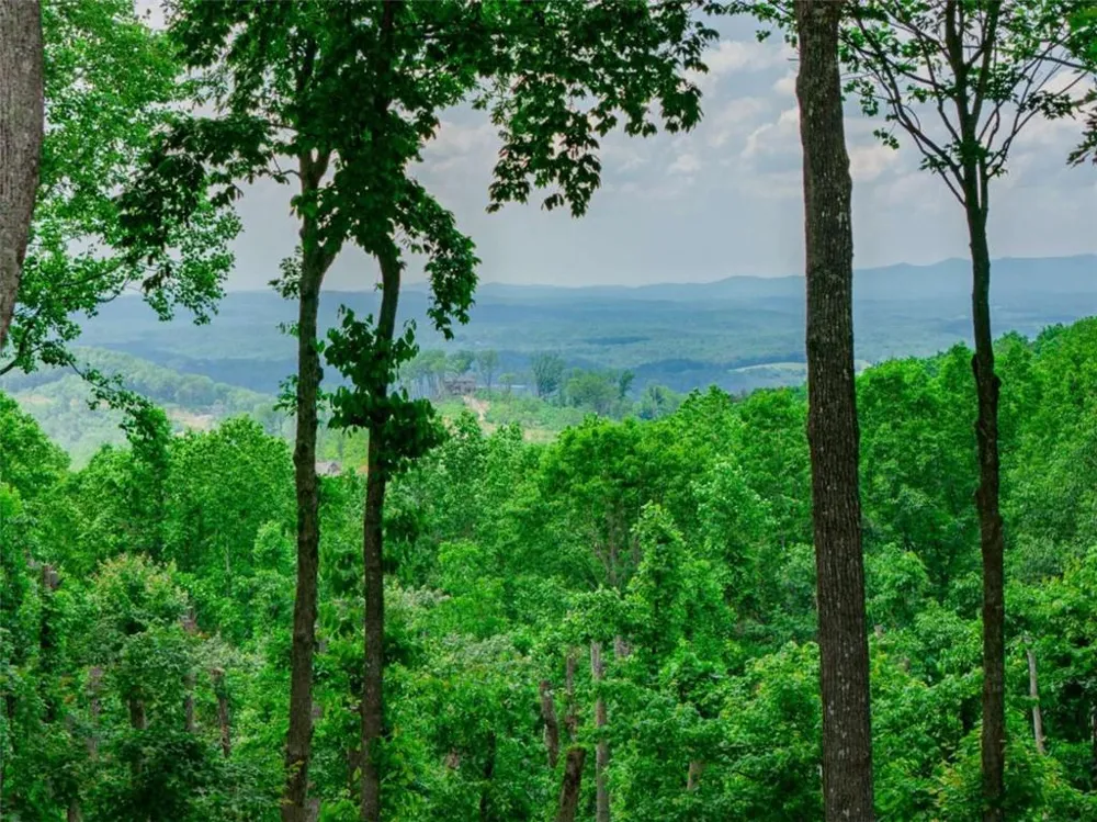 LT 411 Calloway Mountain Road Talking Rock, GA 30175