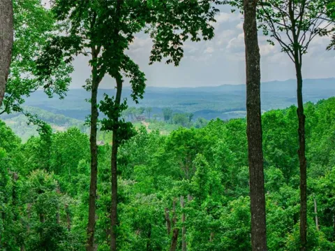 LT 411 Calloway Mountain Road