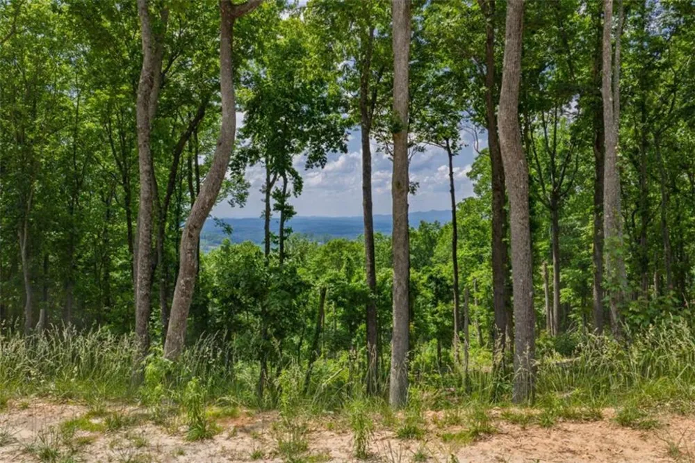 LT 411 Calloway Mountain Road Talking Rock, GA 30175