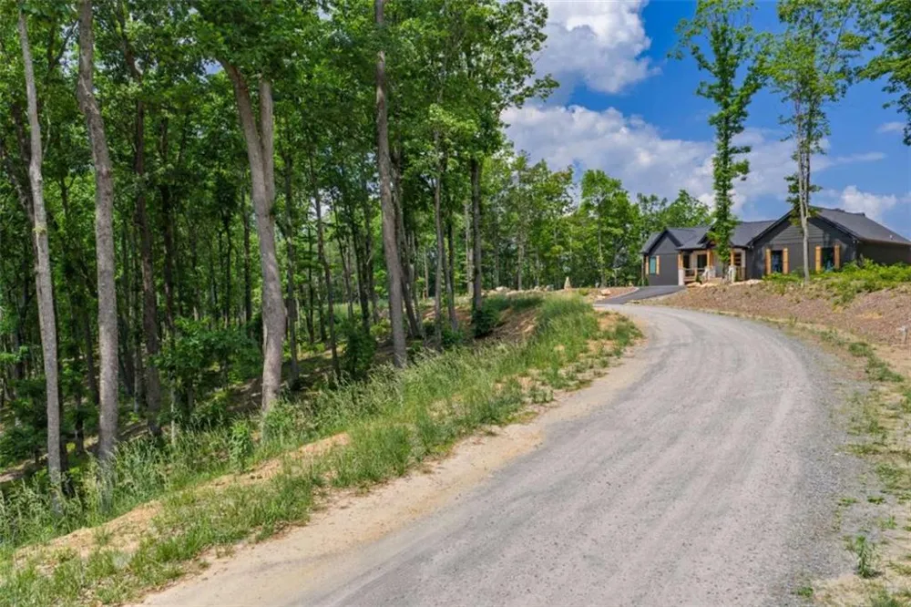 LT 411 Calloway Mountain Road Talking Rock, GA 30175