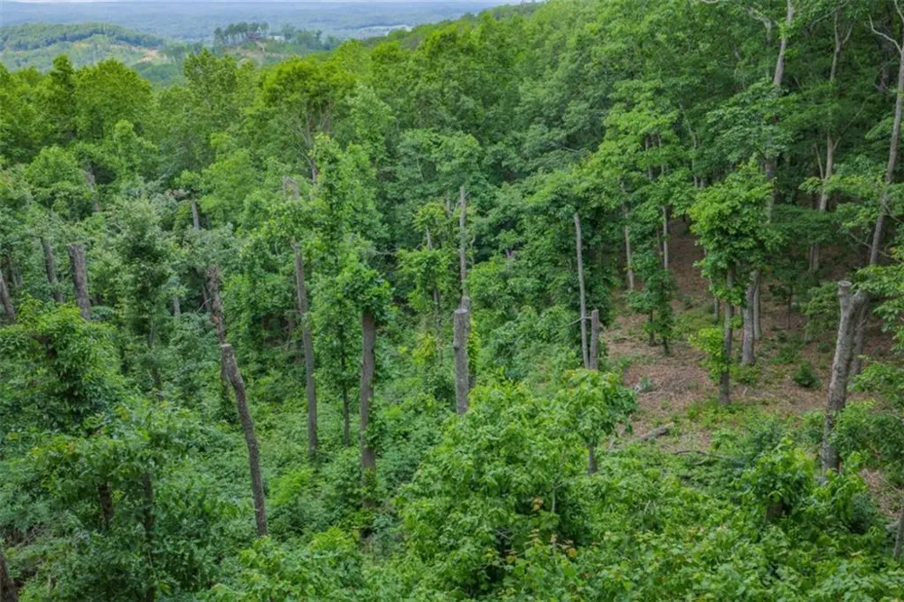 LT 411 Calloway Mountain Road Talking Rock, GA 30175