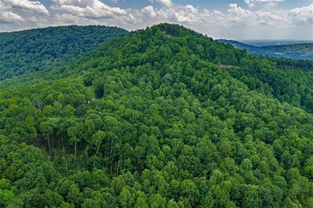LT 411 Calloway Mountain Road Talking Rock, GA 30175