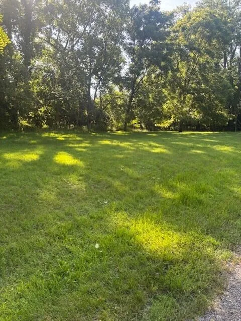 425 S Barker Street New Buffalo, MI 49117