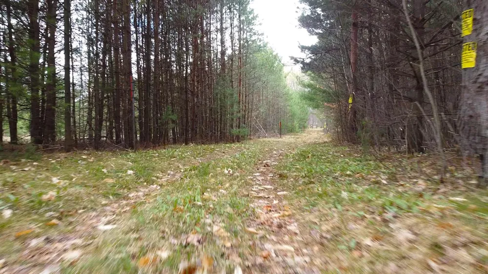 SE Spencer Road Orange Township, MI 49646