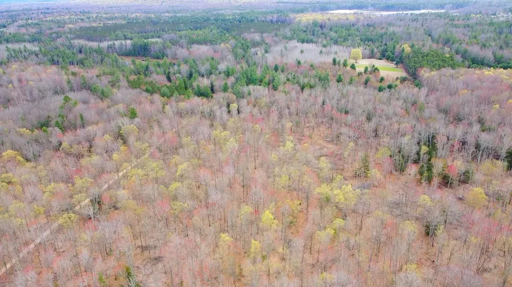 SE Spencer Road Orange Township, MI 49646