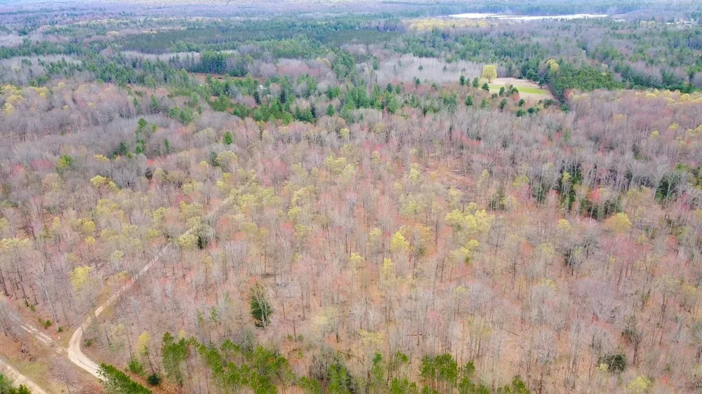 SE Spencer Road Orange Township, MI 49646