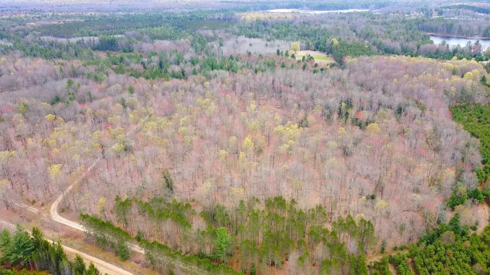 SE Spencer Road Orange Township, MI 49646