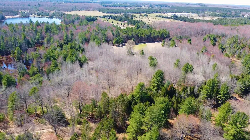 SE Spencer Road Orange Township, MI 49646