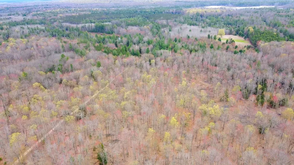 SE Spencer Road Orange Township, MI 49646