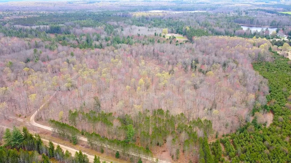 SE Spencer Road Orange Township, MI 49646