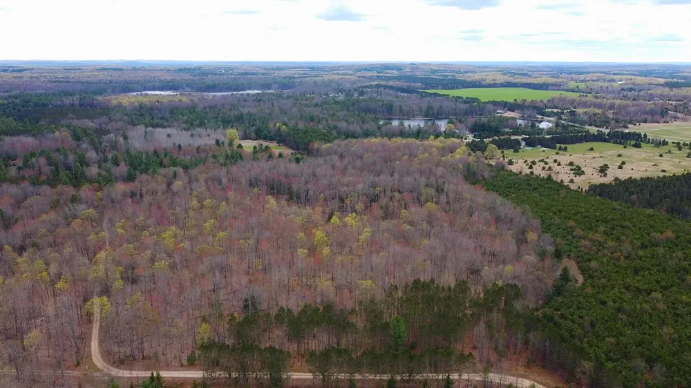 SE Spencer Road Orange Township, MI 49646