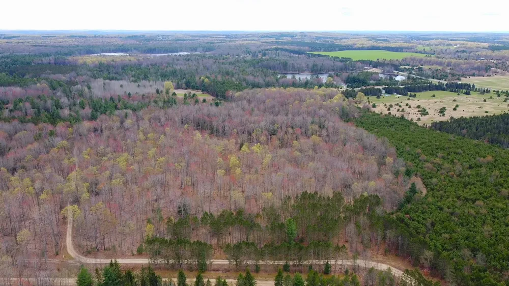 SE Spencer Road Orange Township, MI 49646