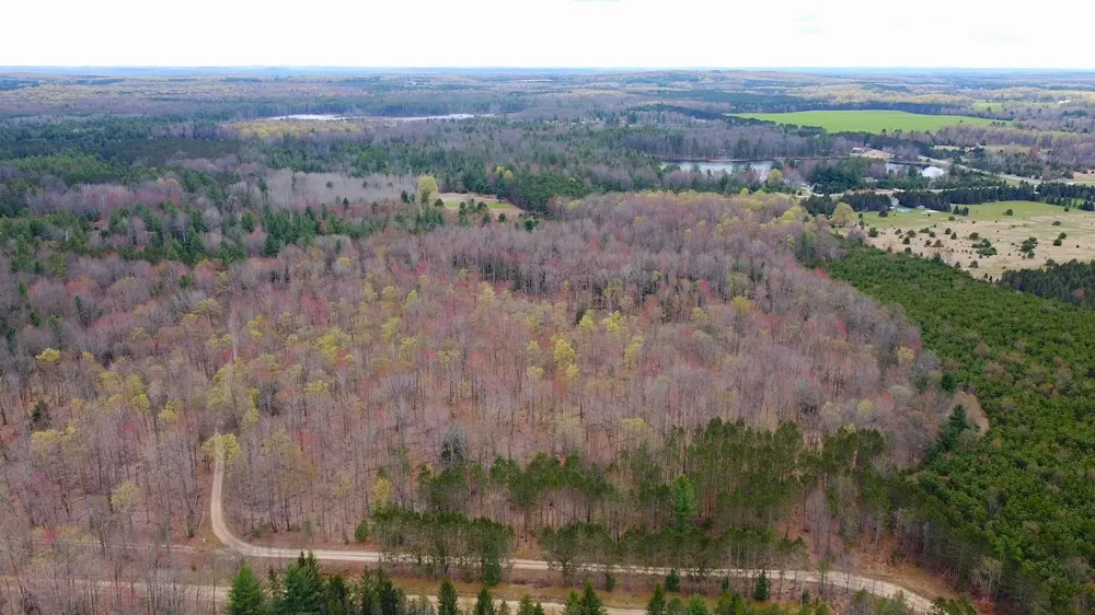 SE Spencer Road Orange Township, MI 49646