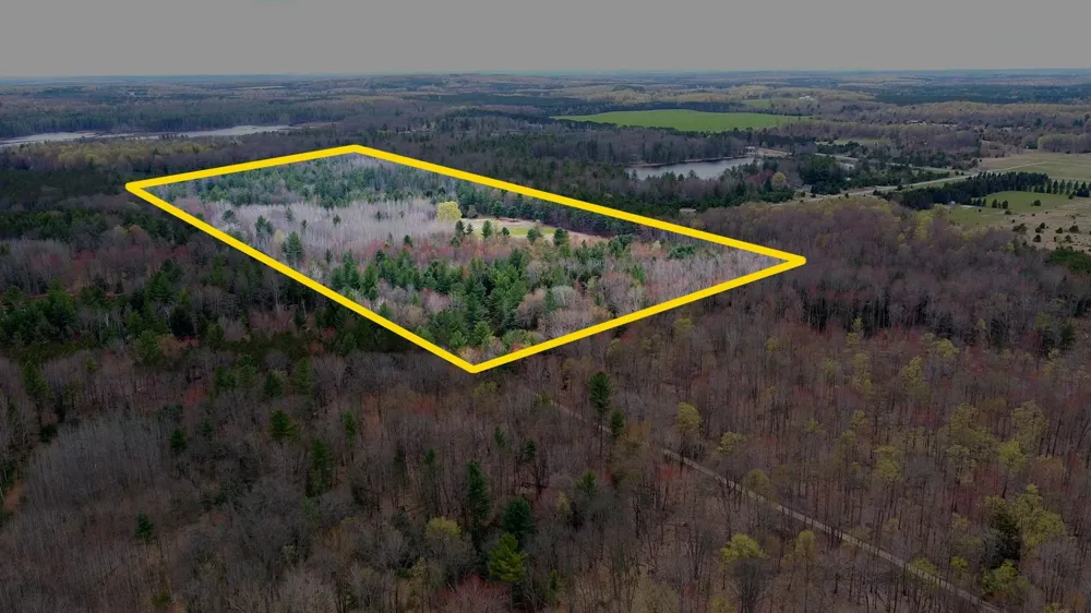 SE Spencer Road Orange Township, MI 49646