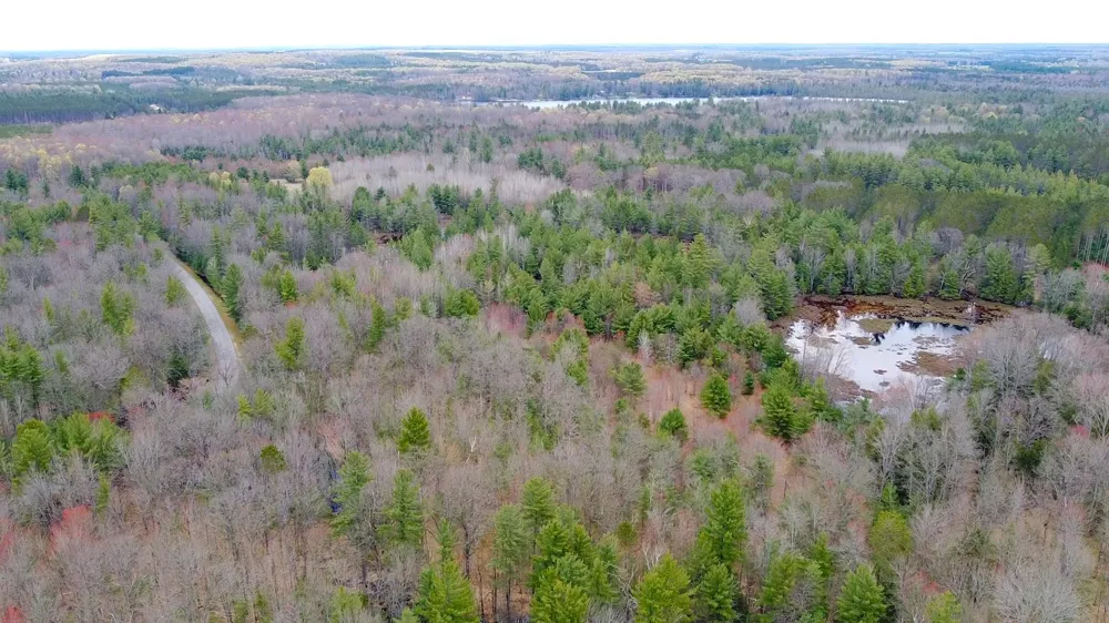SE Spencer Road Orange Township, MI 49646