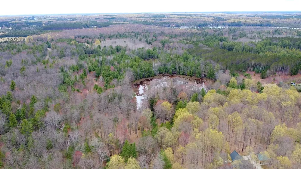 SE Spencer Road Orange Township, MI 49646