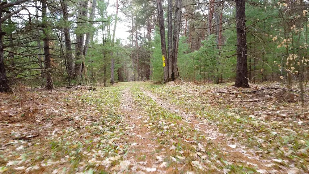 SE Spencer Road Orange Township, MI 49646
