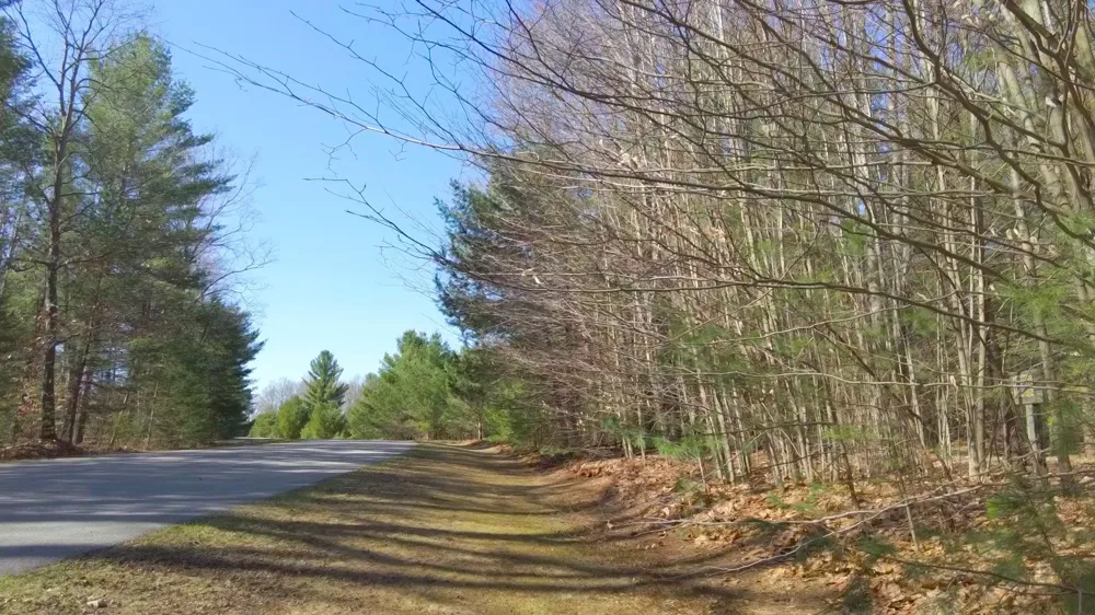 SE Spencer Road Orange Township, MI 49646