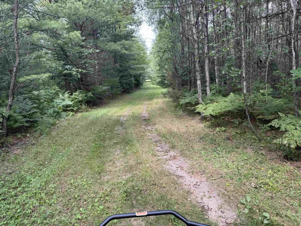 SE Spencer Road Orange Township, MI 49646