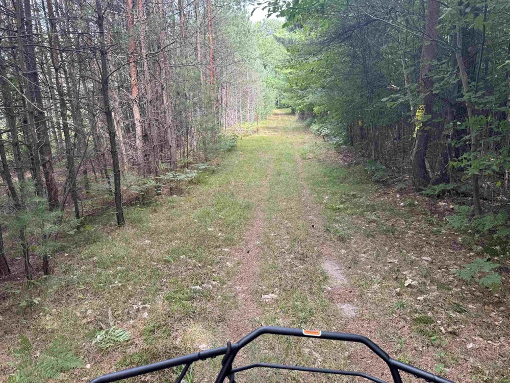 SE Spencer Road Orange Township, MI 49646