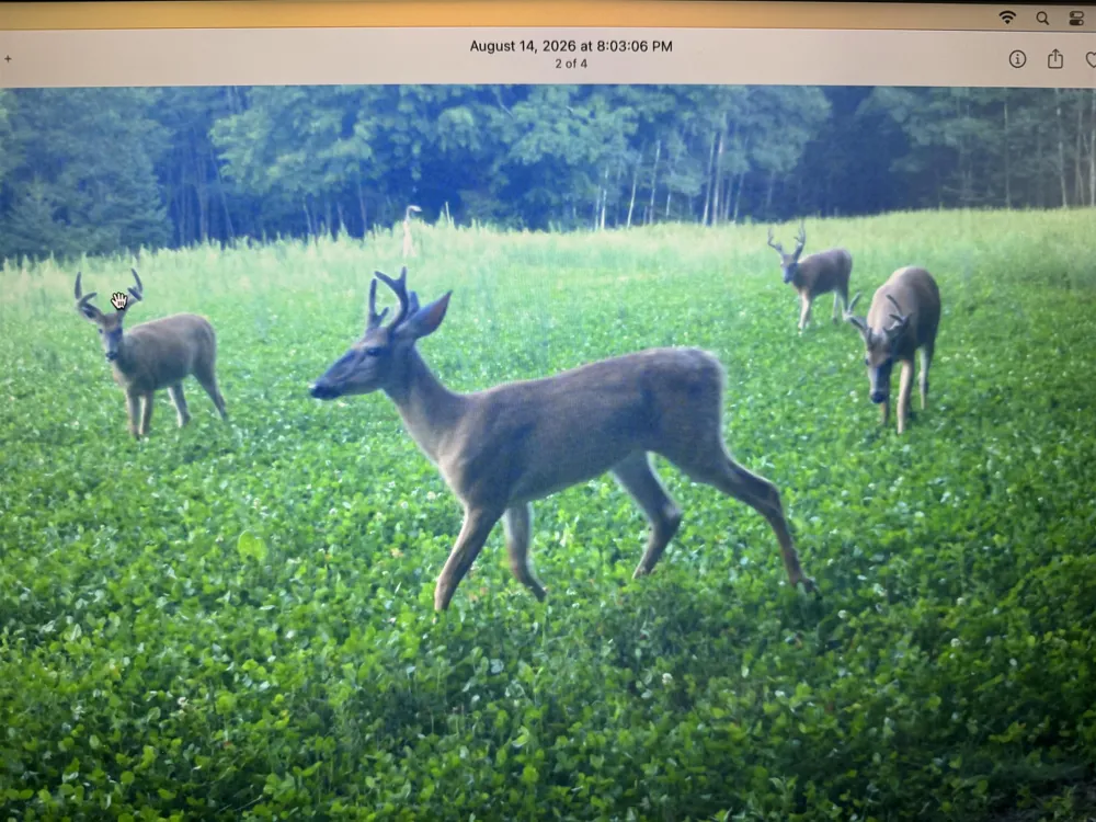 SE Spencer Road Orange Township, MI 49646