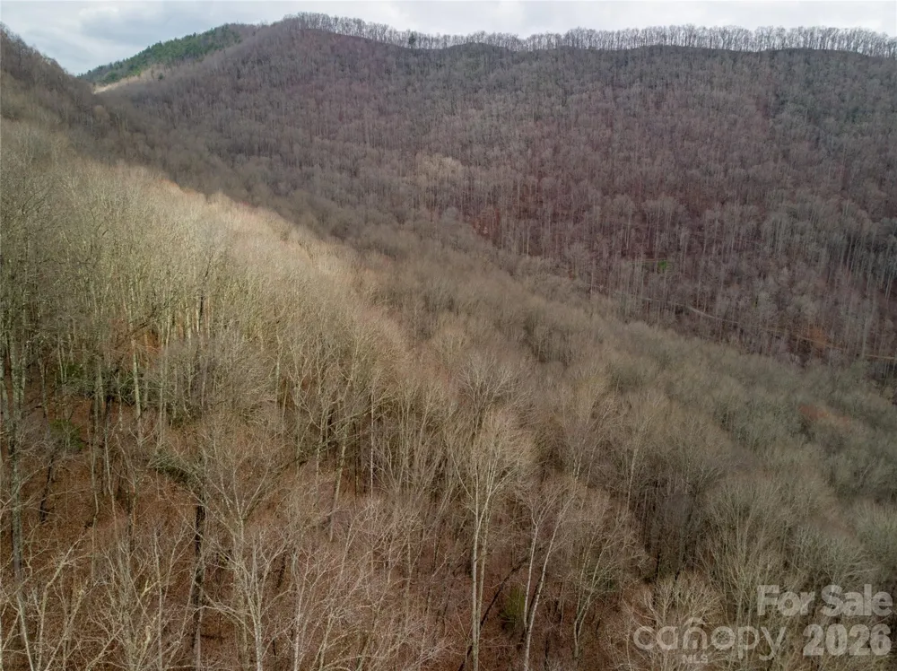 00 Upper Tuskeegee Road Robbinsville, NC 28771