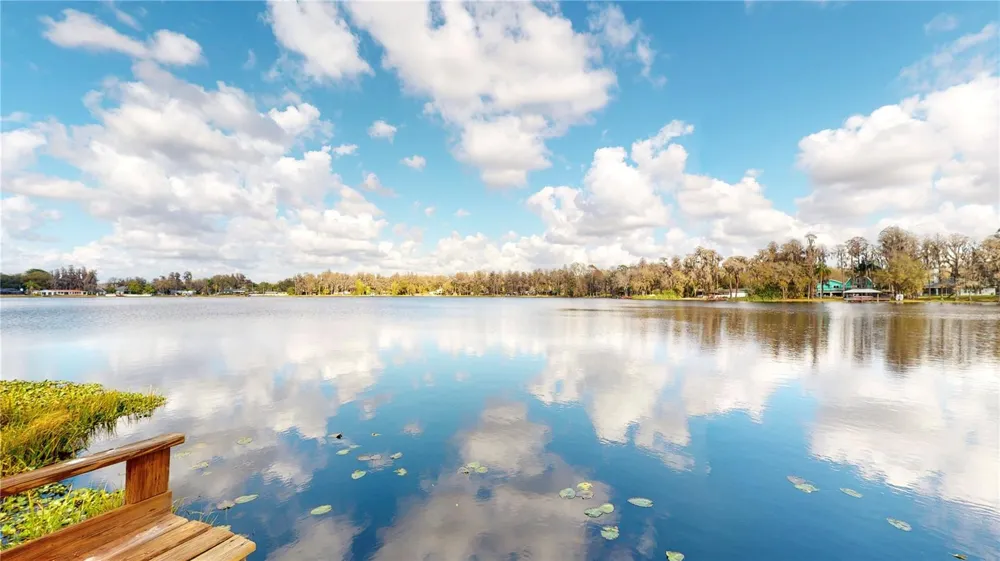 19803 READING ROAD Lutz, FL 33558