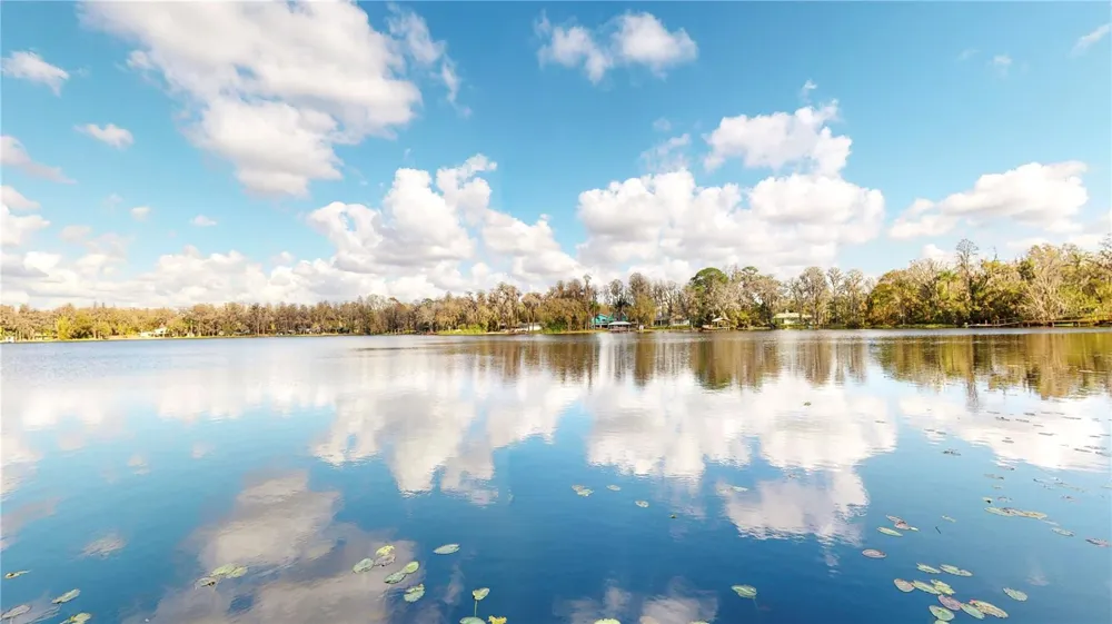 19803 READING ROAD Lutz, FL 33558