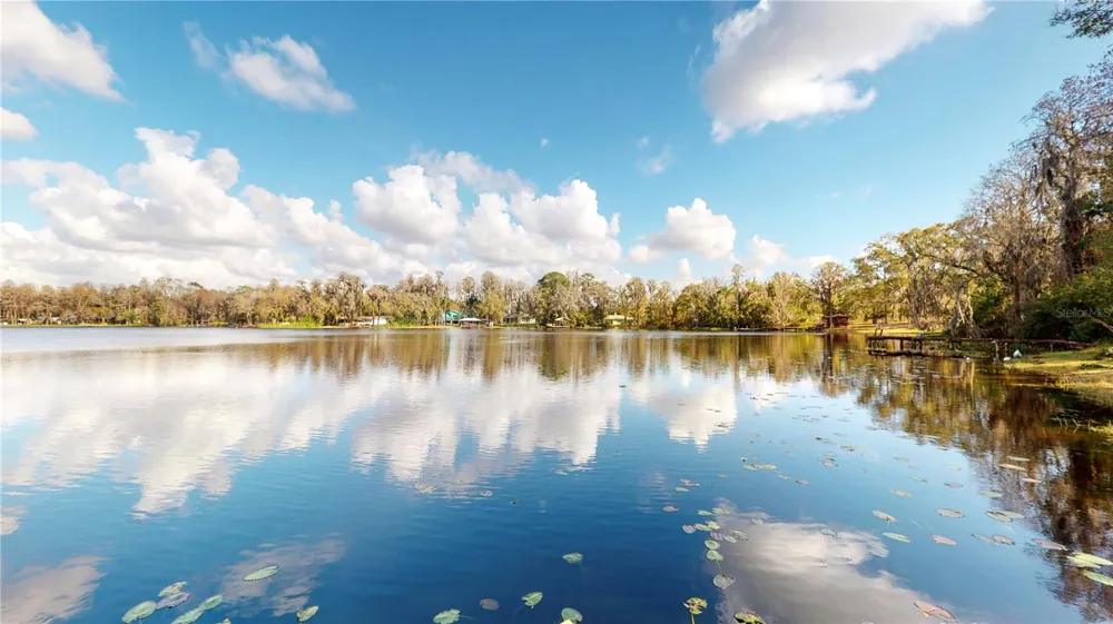 19803 READING ROAD Lutz, FL 33558