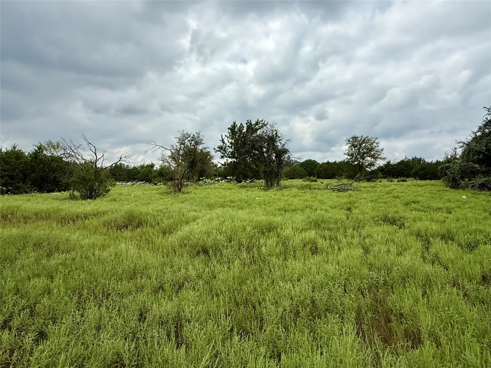 County Road 3208 Hico, TX 76457