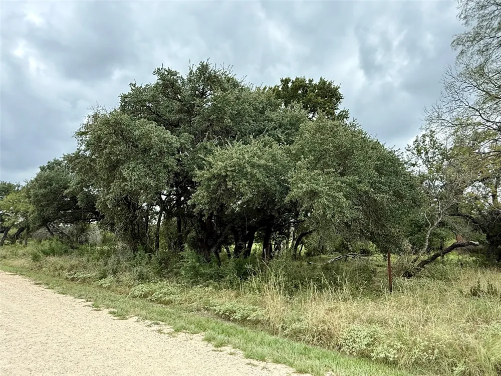 County Road 3208 Hico, TX 76457