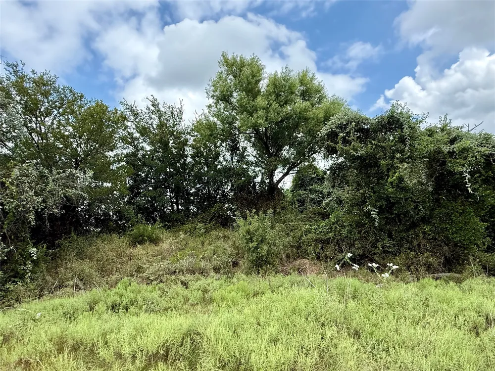 County Road 3208 Hico, TX 76457