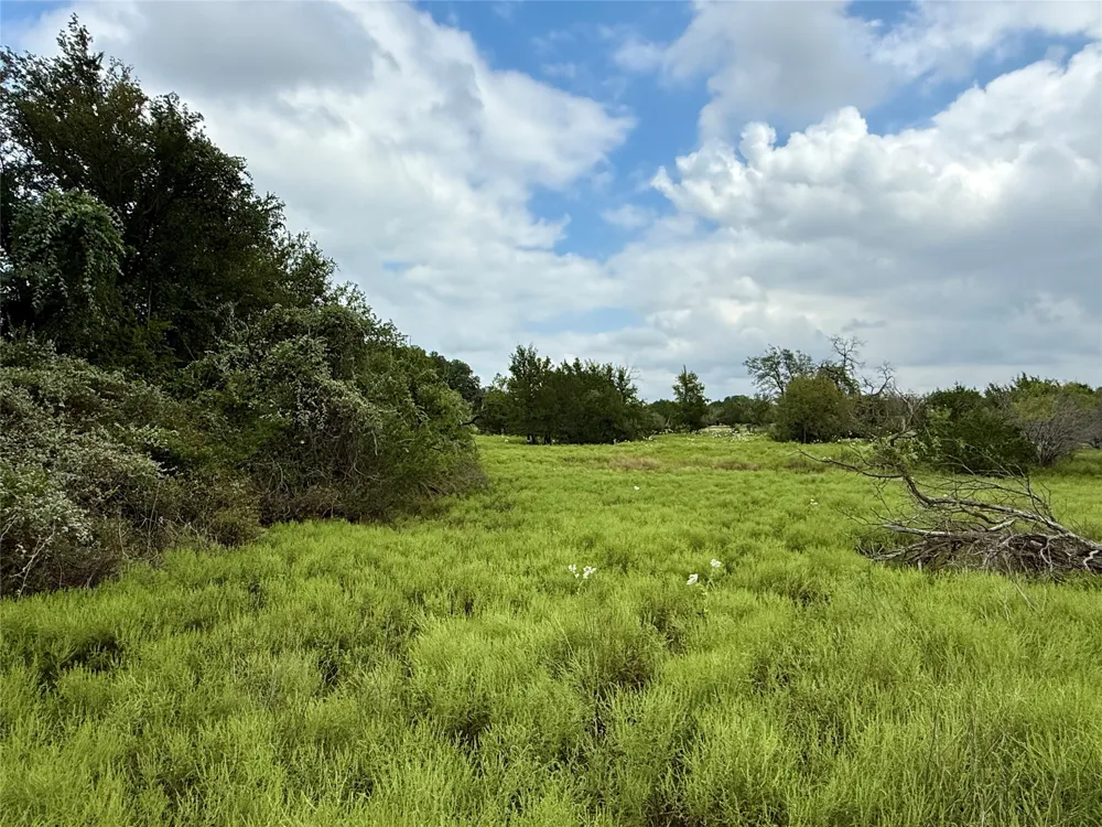 County Road 3208 Hico, TX 76457