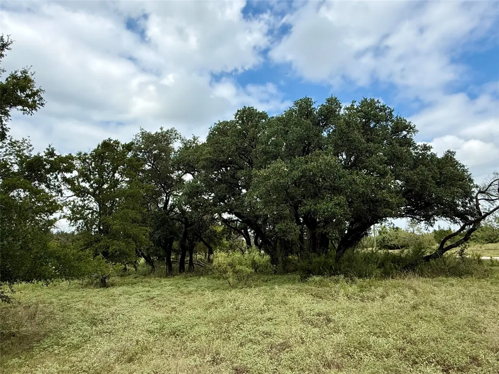 County Road 3208 Hico, TX 76457