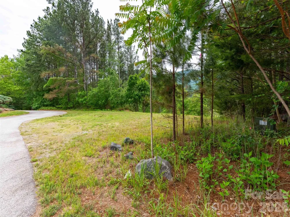 Lot 73 Chestertown Drive #73 Mill Spring, NC 28756
