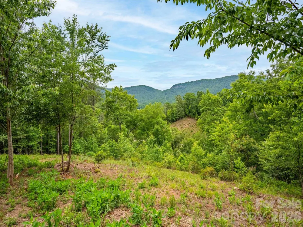 Lot 73 Chestertown Drive #73 Mill Spring, NC 28756