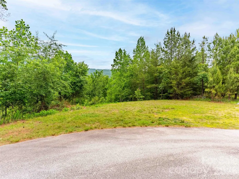 Lot 73 Chestertown Drive #73 Mill Spring, NC 28756