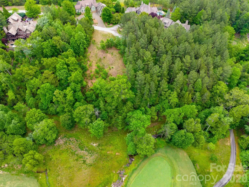 Lot 73 Chestertown Drive #73 Mill Spring, NC 28756