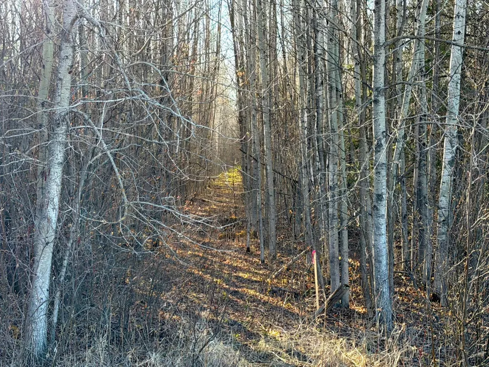 Lot C County Road 79 Littlefork, MN 56653