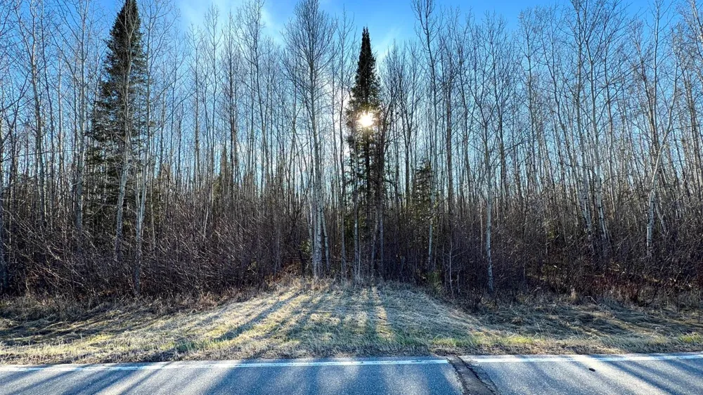 Lot C County Road 79 Littlefork, MN 56653