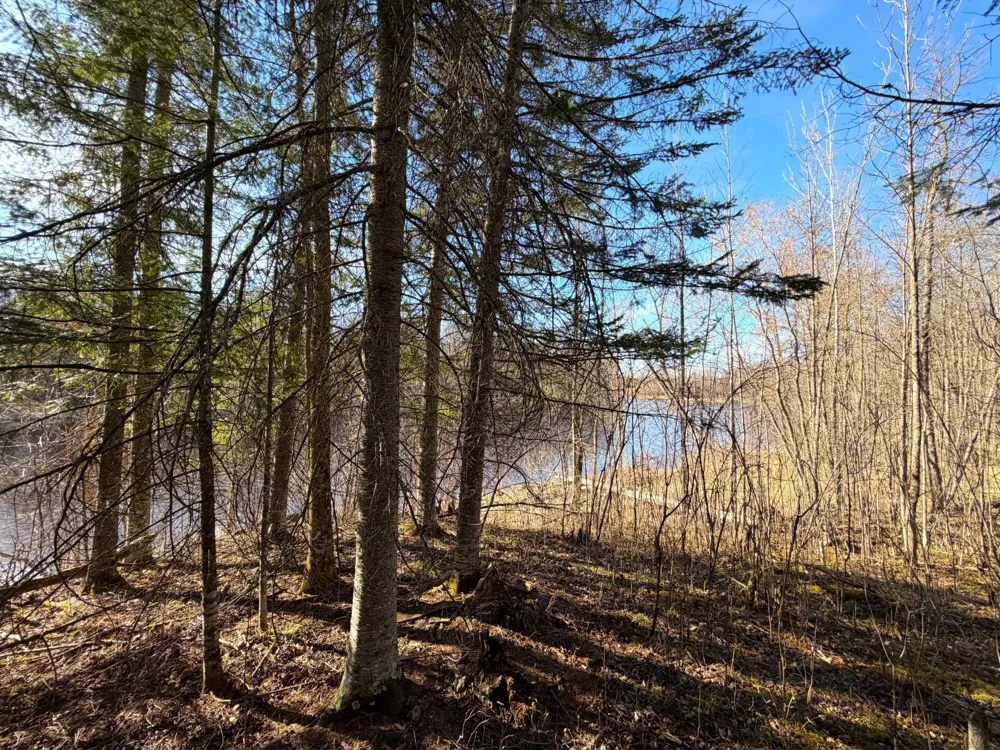 Lot C County Road 79 Littlefork, MN 56653