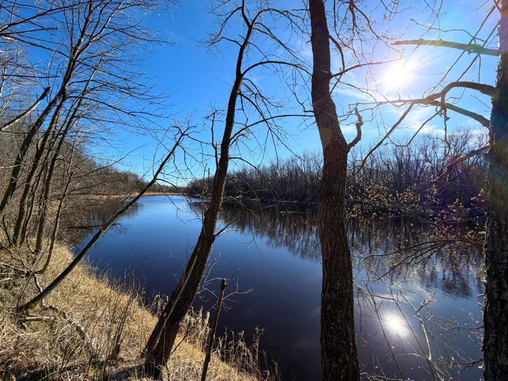 Lot C County Road 79 Littlefork, MN 56653