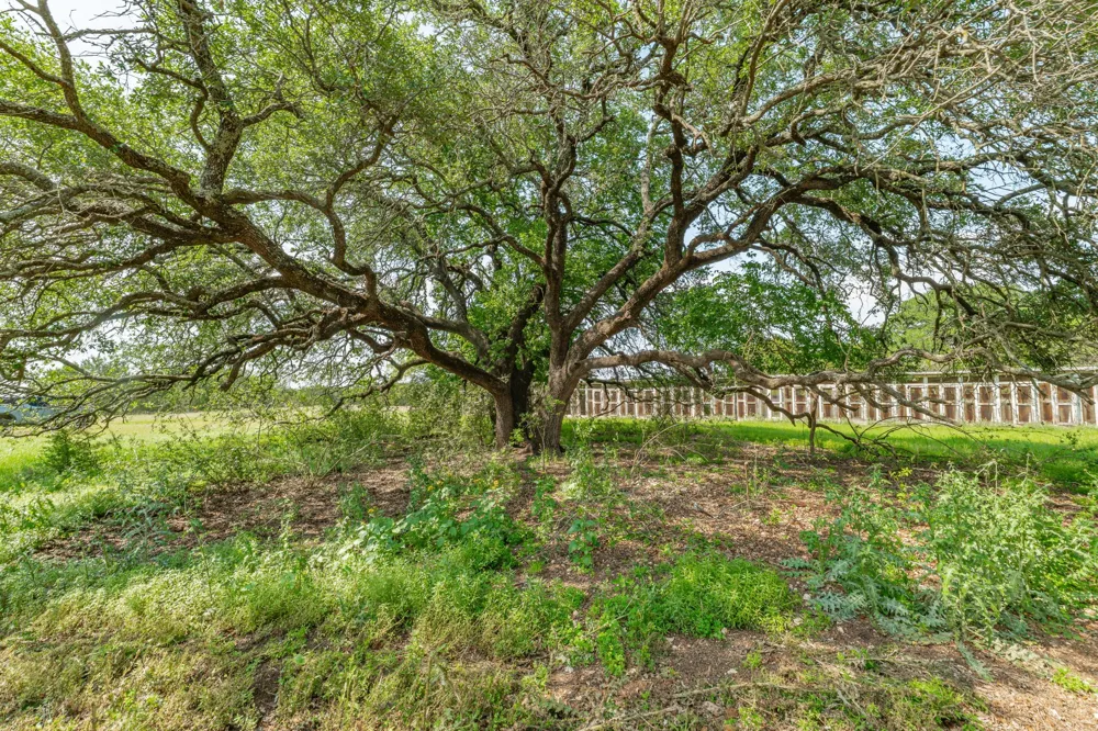 5544 FM 927 Walnut Springs, TX 76690