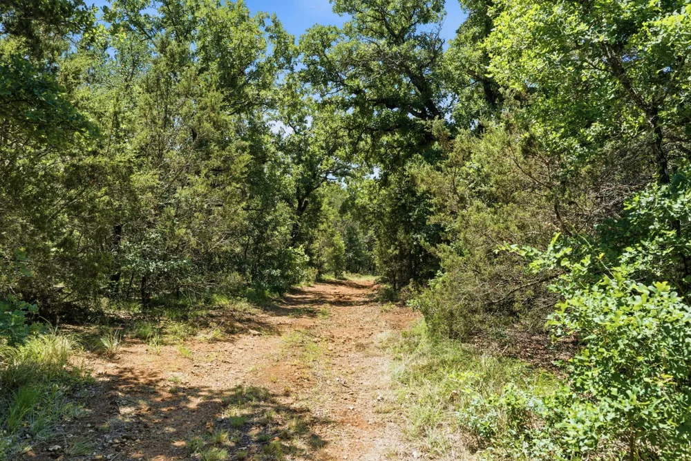 4320 Dobbs Valley Road Millsap, TX 76066