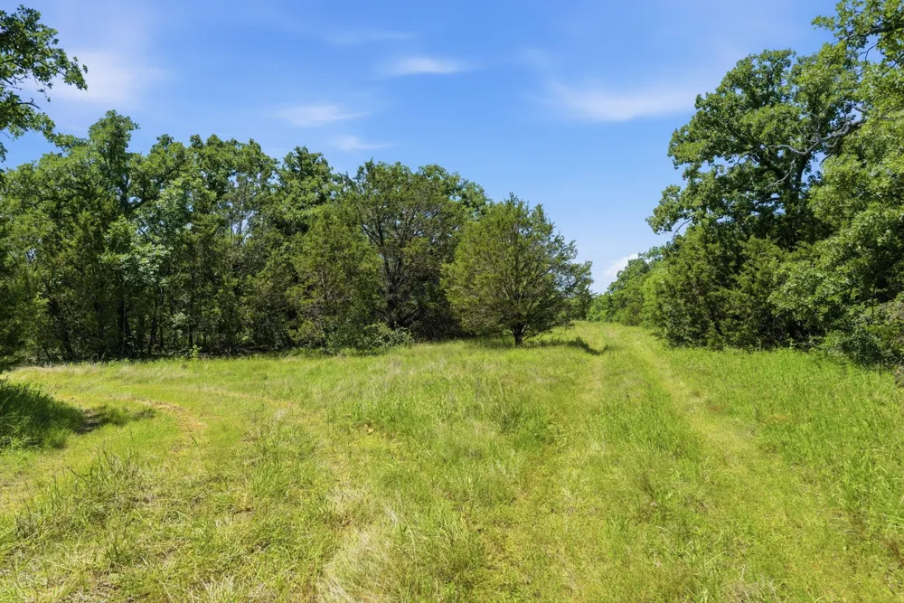 4320 Dobbs Valley Road Millsap, TX 76066