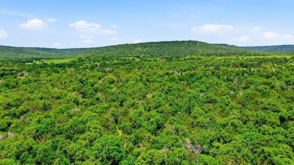 4320 Dobbs Valley Road Millsap, TX 76066